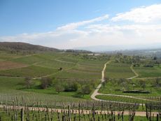 Weil am Rhein 002.jpg